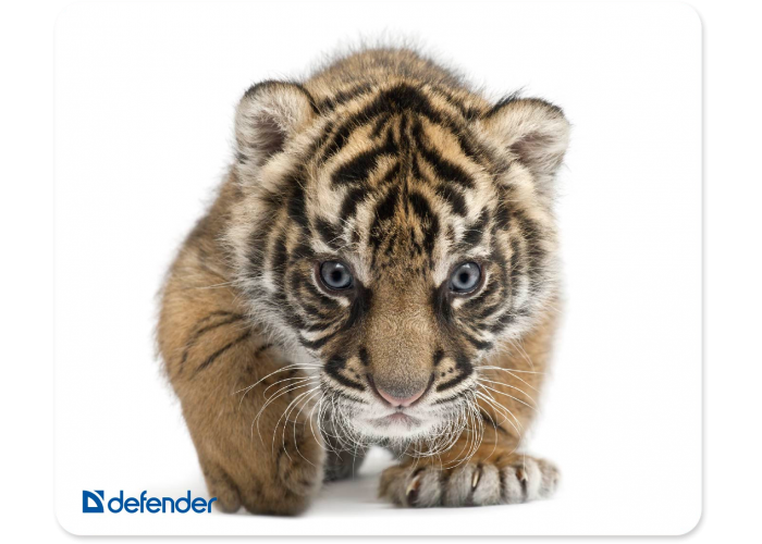Коврик для компьютерной мыши Defender Silk 230x190x1.6 мм, 10 видов