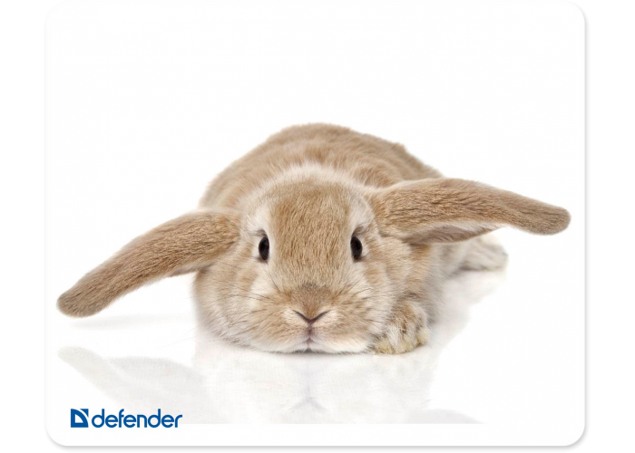 Коврик для компьютерной мыши Defender Silk 230x190x1.6 мм, 10 видов
