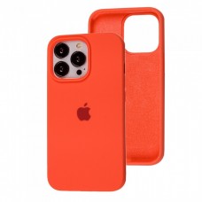 Силиконовый чехол c закрытым низом Apple Silicone Case Citrus для iPhone 15