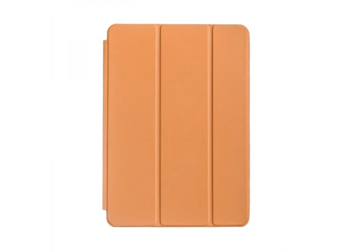 Чехол Smart Case для iPad Pro 12.9 2020 Light Brown