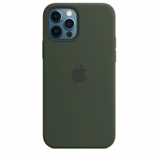 Чехол Silicone Case Full OEM для iPhone 12 PRO Cyprus Green