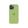 Силиконовый чехол c закрытым низом Apple Silicone Case для iPhone 12 Pro Max Green