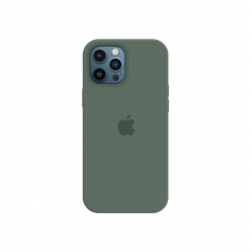 Силиконовый чехол c закрытым низом Apple Silicone Case для iPhone 12 Pine Green