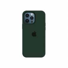 Силиконовый чехол c закрытым низом Apple Silicone Case для iPhone 12 Pro Forest Green