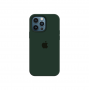 Силиконовый чехол c закрытым низом Apple Silicone Case для iPhone 12 Pro Forest Green