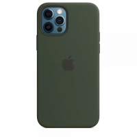 Чехол Silicone Case MagSafe для iPhone 12 PRO Cyprus Green