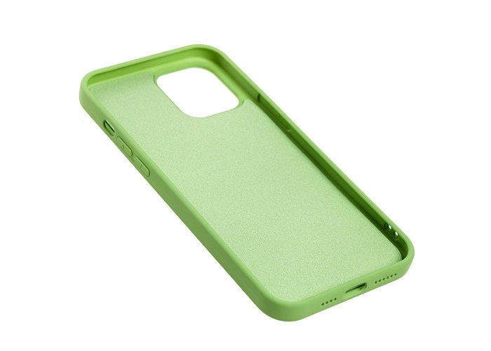 Чехол для iPhone 12 Pro Max Art case зеленый