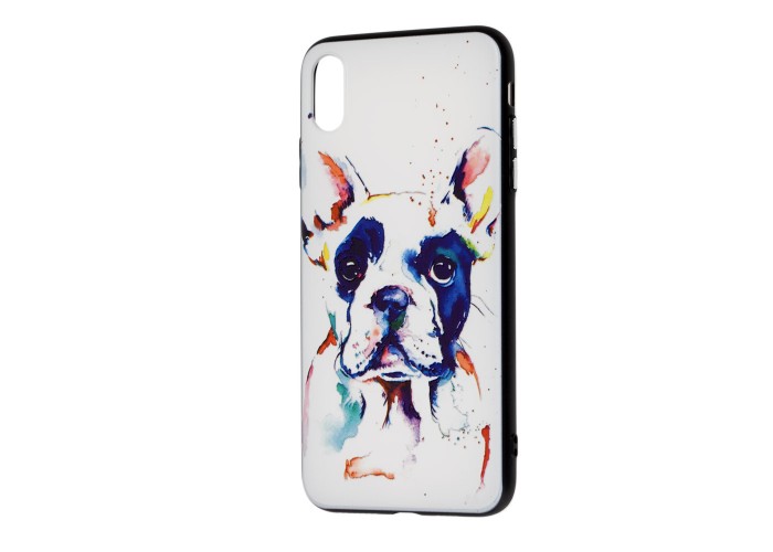Чехол для iPhone X / Xs акварель 