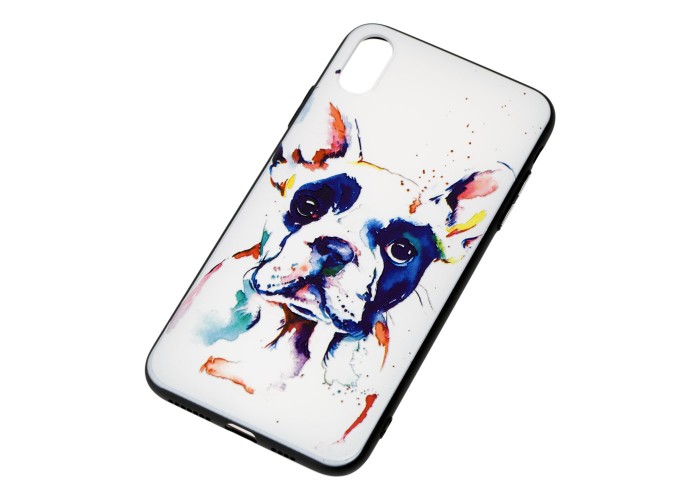 Чехол для iPhone X / Xs акварель 