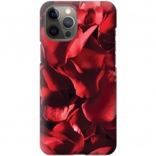 Чехол для iPhone 12 Pro Max для влюбленных 13