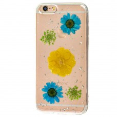 Чехол Nature Flowers для iPhone 6 голубая ромашка