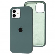Чехол для iPhone 12 / 12 Pro Silicone Full зеленый / cactus