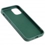 Чехол для iPhone 12 mini Art case темно-зеленый