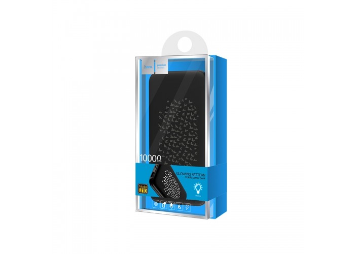 Внешний аккумулятор power bank Hoco J10 10000 mAh migratory-bird
