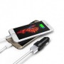Автомобильное зарядное устройство RAVPower Metal Dual USB Car Charger 24W 4.8A with iSmart 2.0 Charging Tech RP-VC006