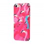 Чехол для iPhone 5/5s/SE Ibasi & Coer розовый фламинго