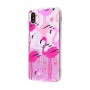 Чехол для iPhone X / Xs Chic Kawair розовые фламинго