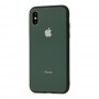 Чехол для iPhone X/Xs Glass Pastel Color Logo Forest Green