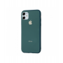 Чехол для iPhone 11 Glass Pastel Color Logo Pine Green