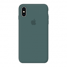 Силиконовый чехол Apple Silicone Case Pine Green для iPhone X/Xs с закрытым низом