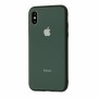 Чехол для iPhone Xs Max Glass Pastel Color Logo Forest Green