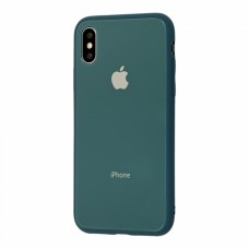 Чехол для iPhone Xs Max Glass Pastel Color Logo Pine Green
