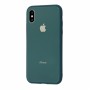 Чехол для iPhone Xs Max Glass Pastel Color Logo Pine Green