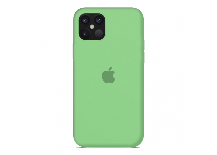Силиконовый чехол Apple Silicone Case Salad для iPhone 12 Mini